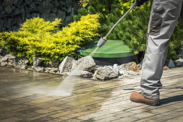 Best Spring Cleaning  in Poway, CA